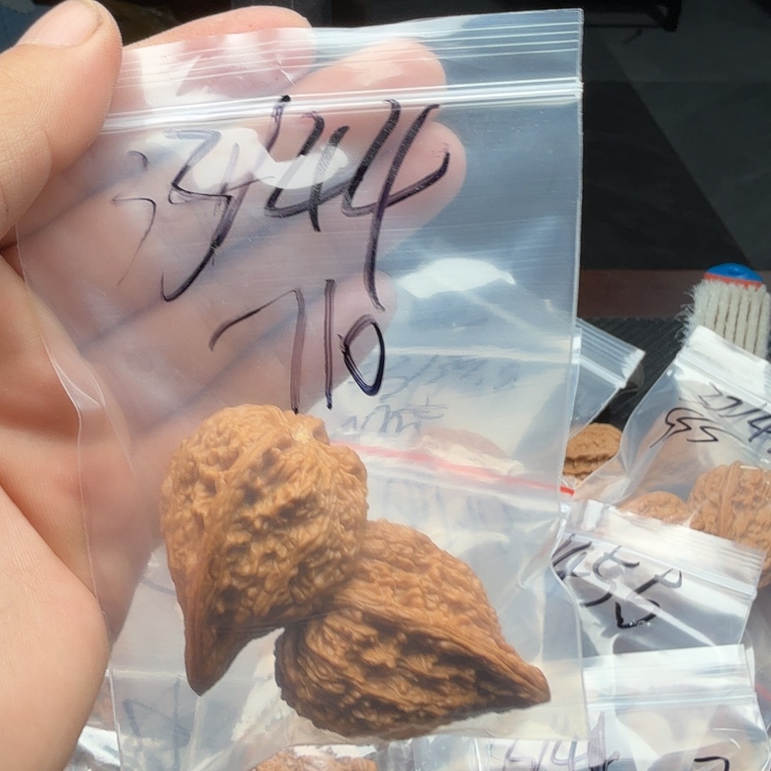 桃核吊坠福利塔尖核桃710