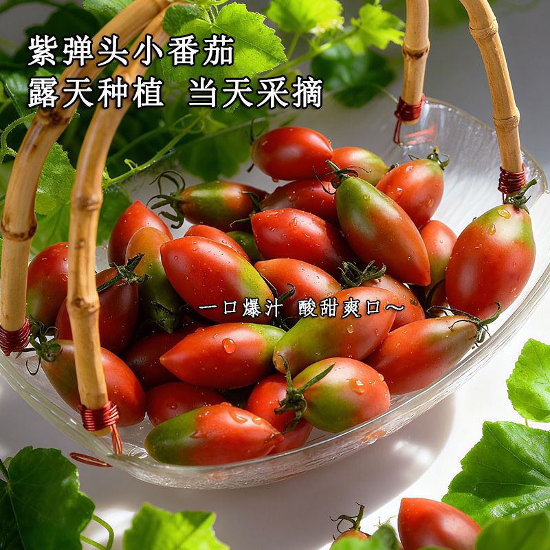 【新鲜采摘】露天种植紫弹头小番茄圣女果新鲜当季酸甜多汁水果