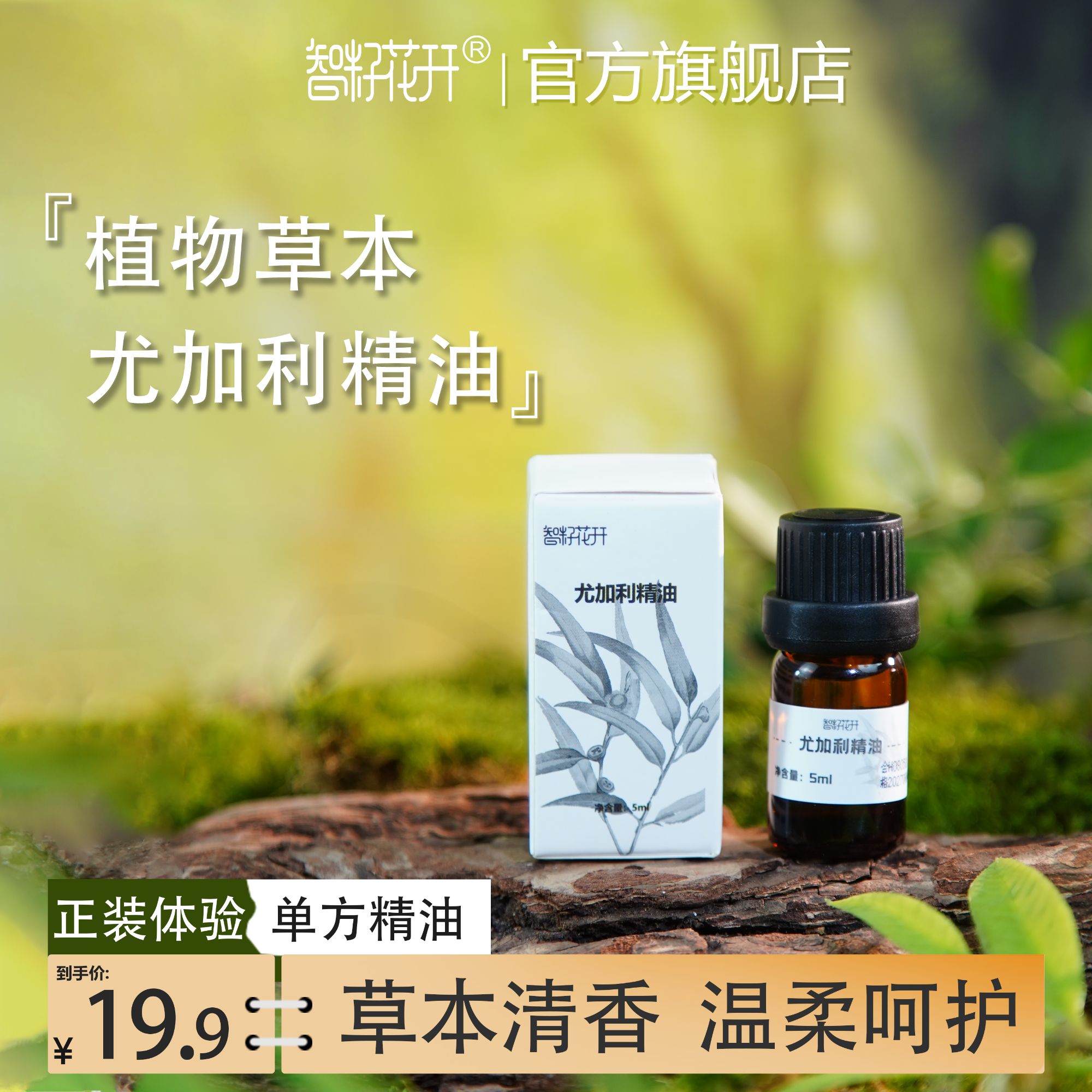 【尤加利精油2瓶装】空气净化保卫精油尤加利