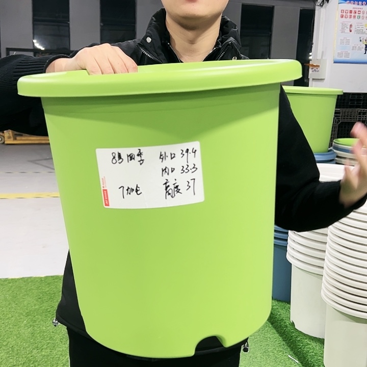特价8号口39高37果绿色5只无托