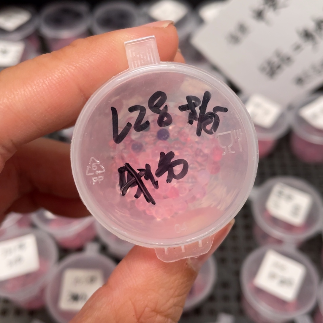 Lz8珍妮✖️梦露20粒，新品