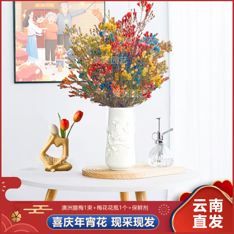 【混色澳洲腊梅】年宵花鲜切澳洲腊梅花卉室内摆放云南基地直发