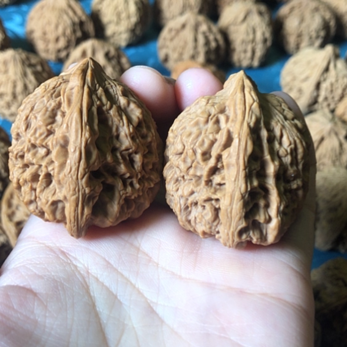 【闪购商品】文玩核桃把件h***了一代南疆石