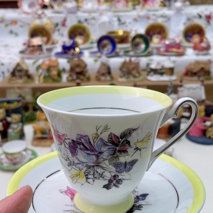 盘维多利亚欧洲中古