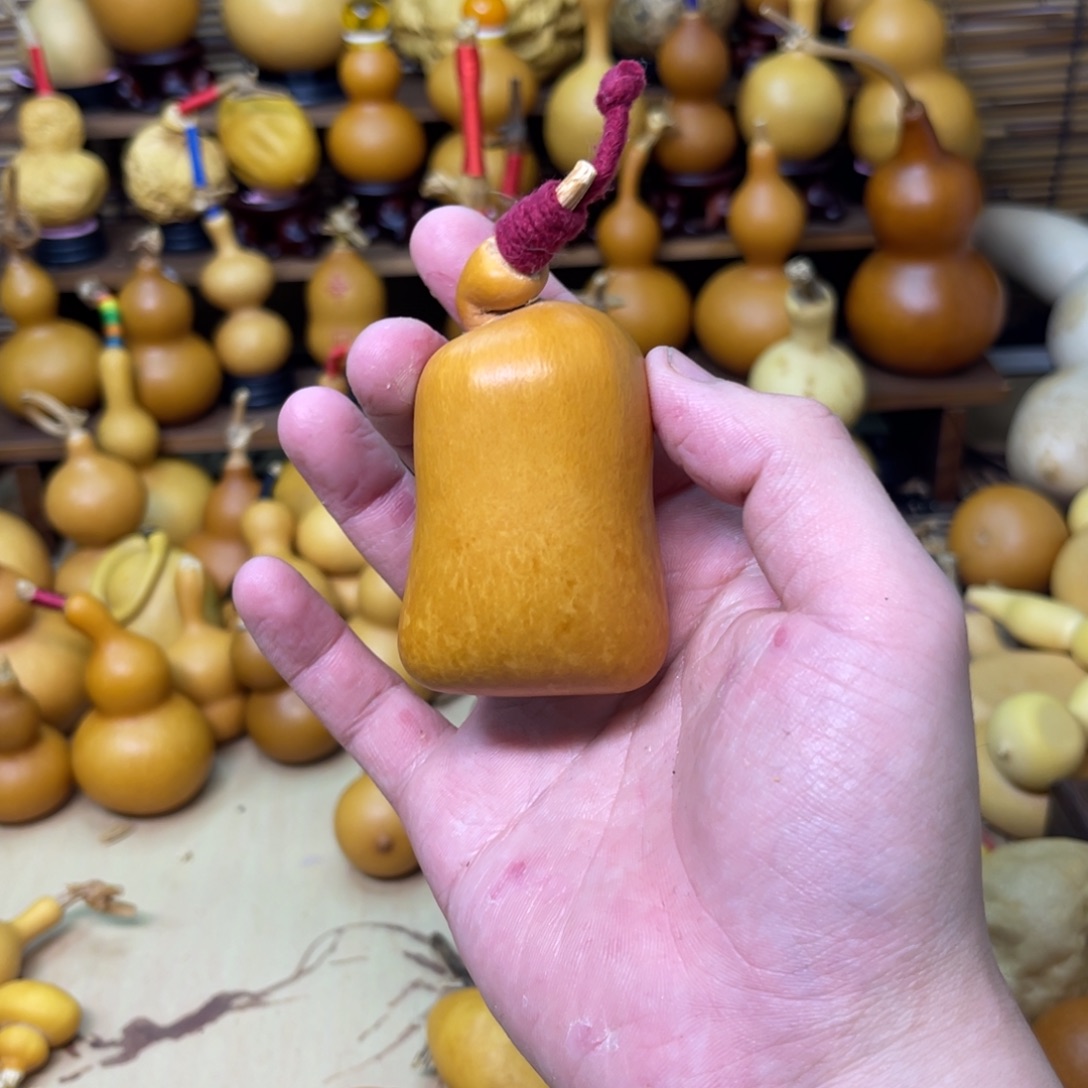 小象钱袋子厚皮不响籽22