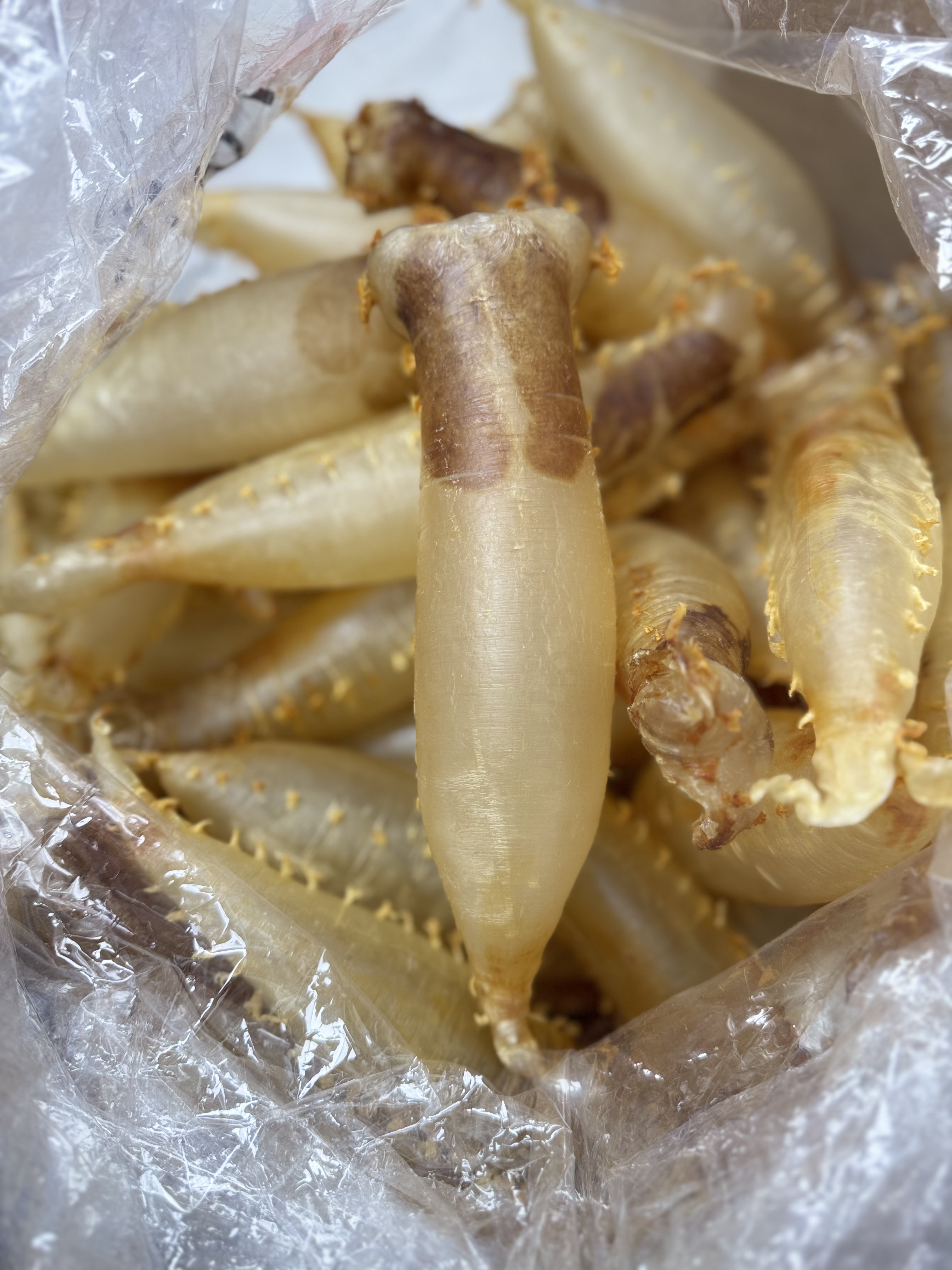 《宜膳源》精选大头数老腊赤花筒 花胶鱼胶滋补