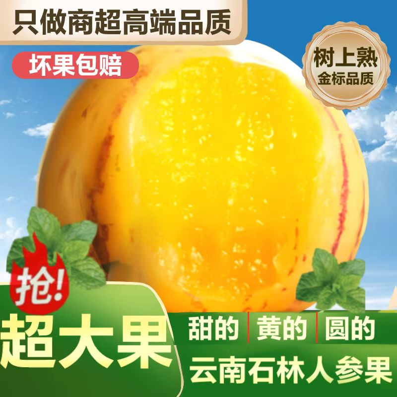 【超好吃的人参果】正宗云南石林人参果树上熟黄心香甜多汁新鲜采摘