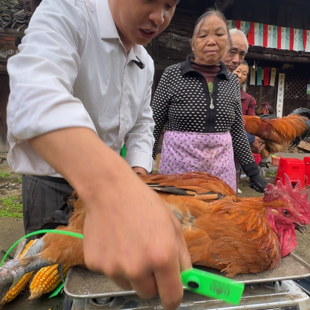 包装中国大陆2700樱桃鸡