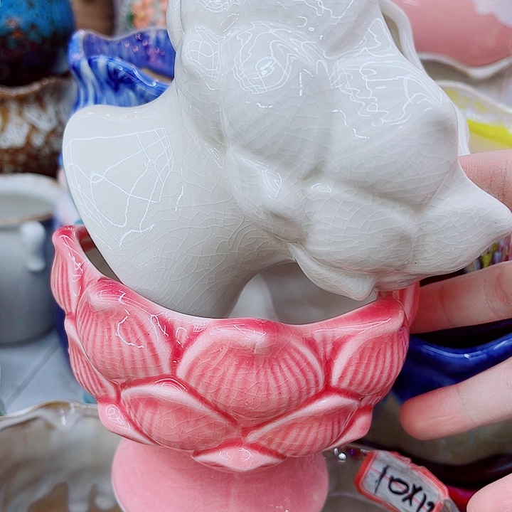 多肉植物陶瓷花盆