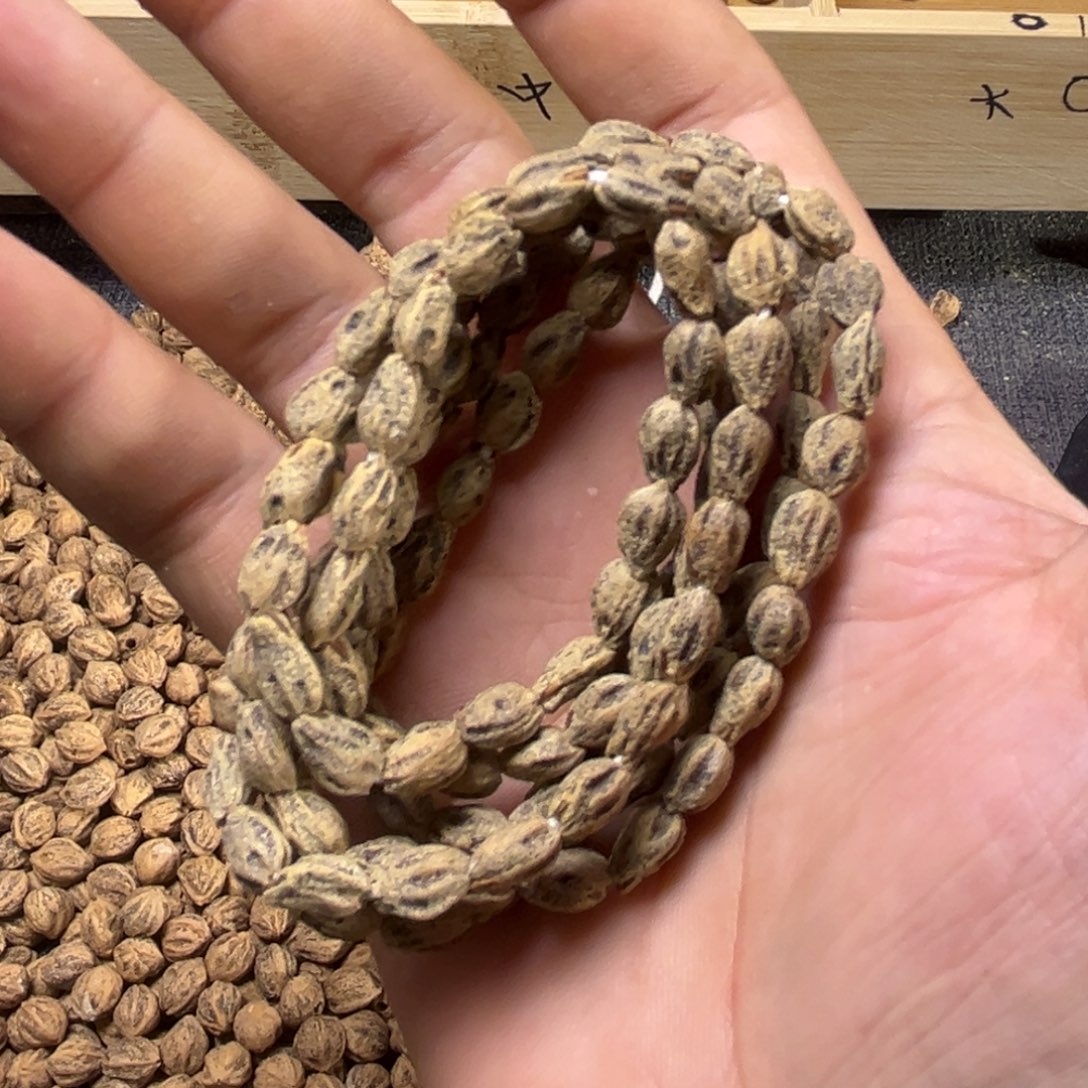 吊坠柏香籽/百香籽