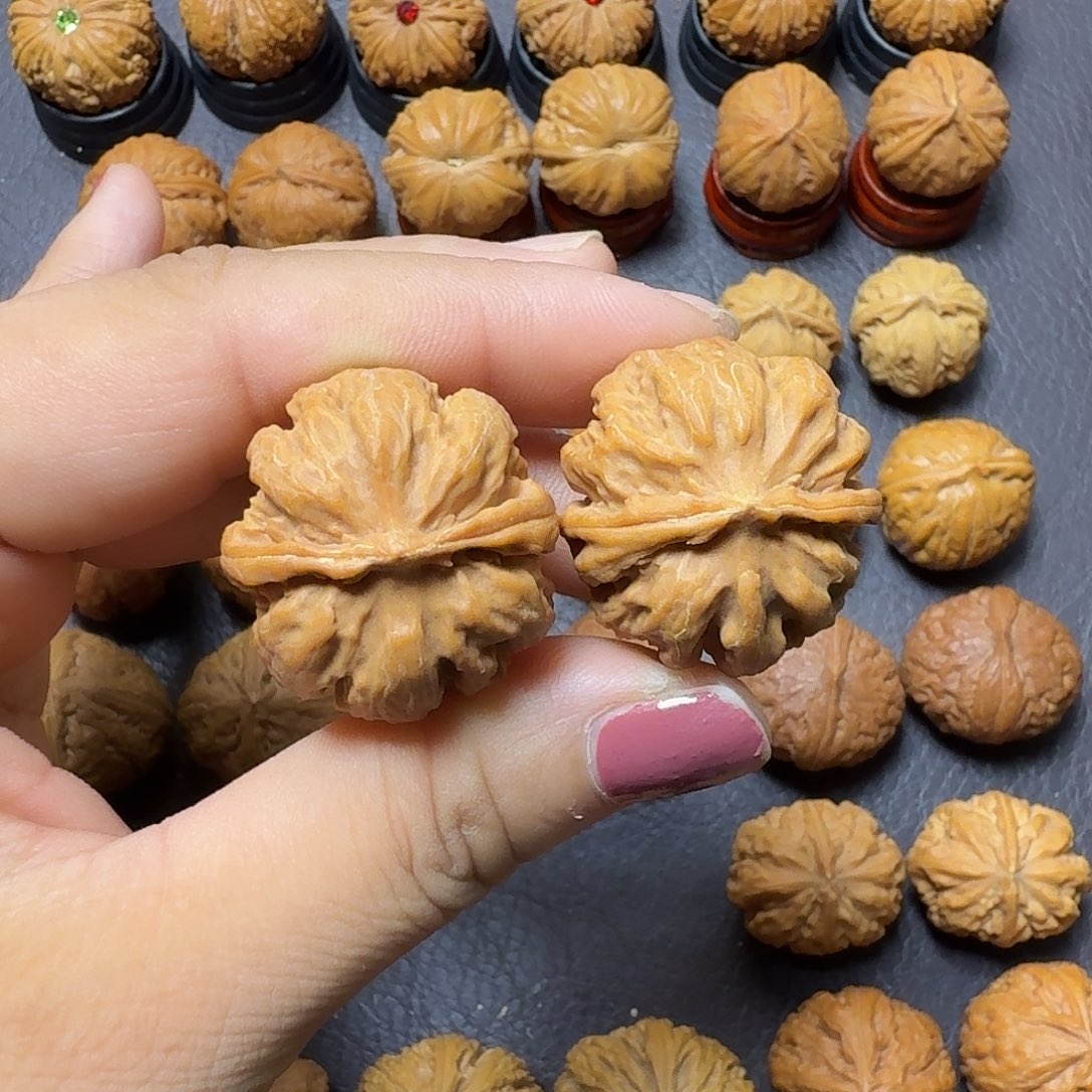 文玩核桃把件28尺九龙粗筋005