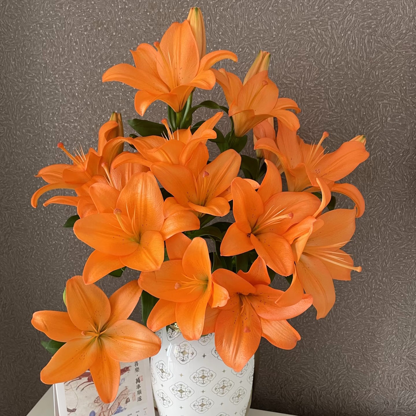 【云霄花卉】【橙色梦想亚百合】无香味【任意两单顺丰冷链包邮】