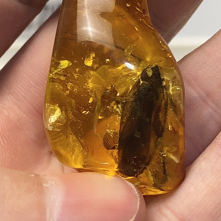 琥珀未镶嵌裸石琥珀