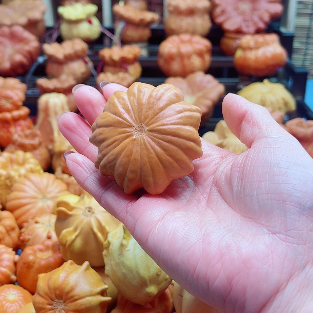 主***贵大叶紫檀（黑酸枝木类）