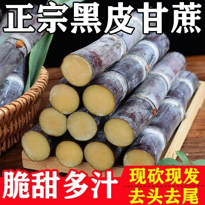 黑皮甘蔗新鲜现砍紫皮水果甘蔗应季甜杆