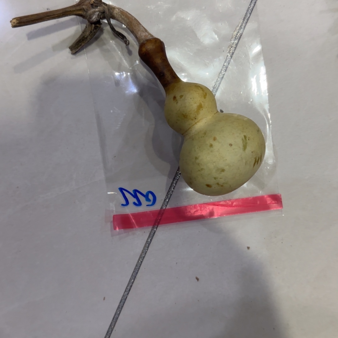 愛***仔青皮不包成青皮不包成