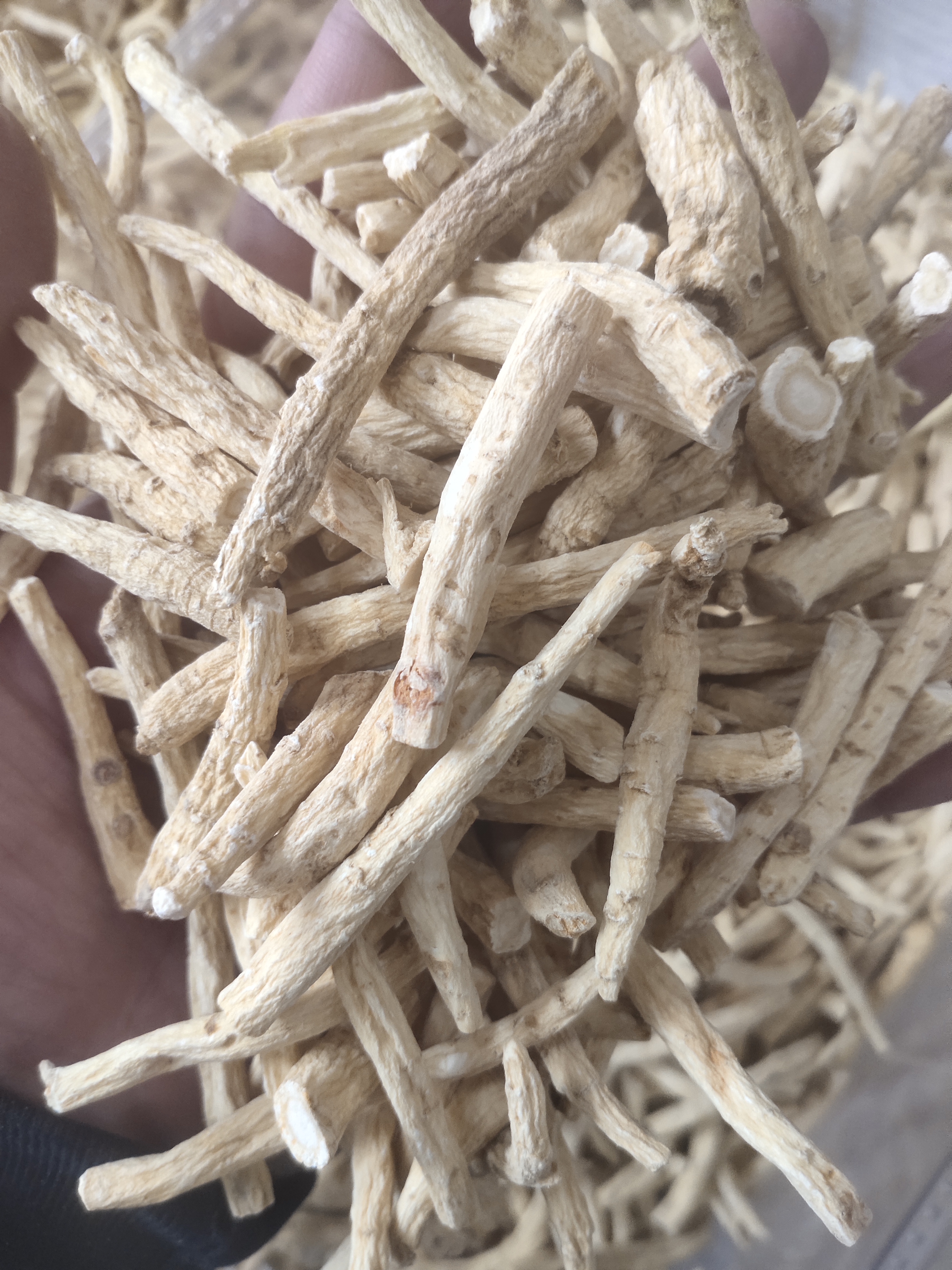 西洋参腿大丁大节现场免费切片花旗参大节泡水西洋参切片500g