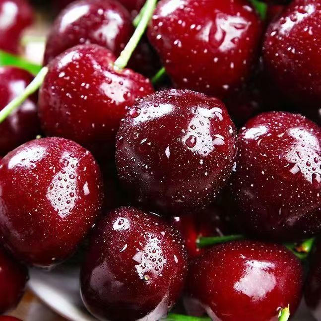 【五斤原箱】智利空运新鲜桑提娜车厘子2JD-4JD包邮内附果径卡2500g桑提娜樱桃智利共和国