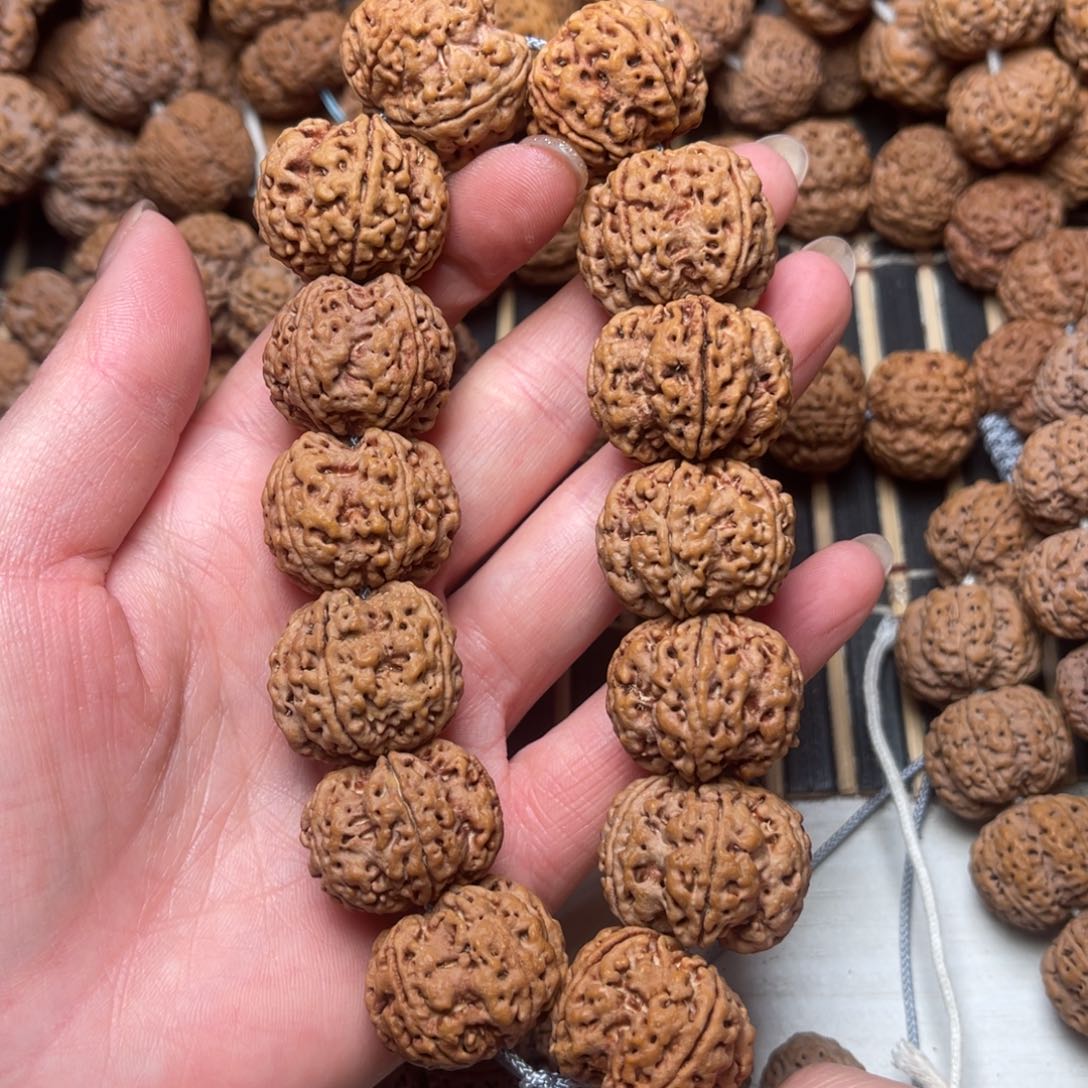 菩提尼泊尔大金刚双龙梅花24