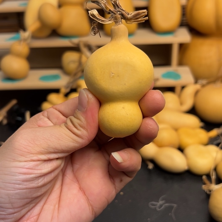 ?*.葫芦葫芦葫芦葫芦葫芦葫芦