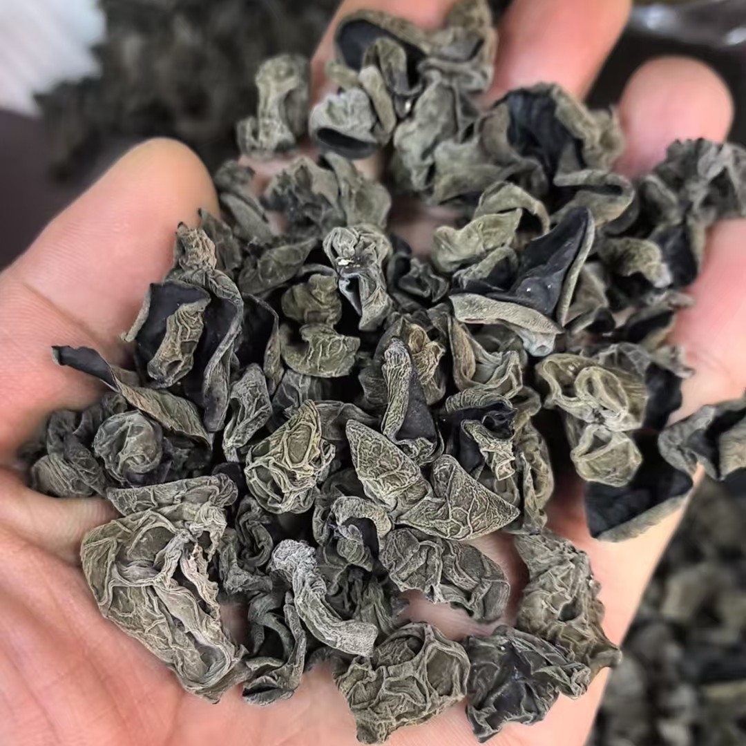 东北特产头茬木耳肉厚干净无沙出菜率高凉拌炒菜佳品