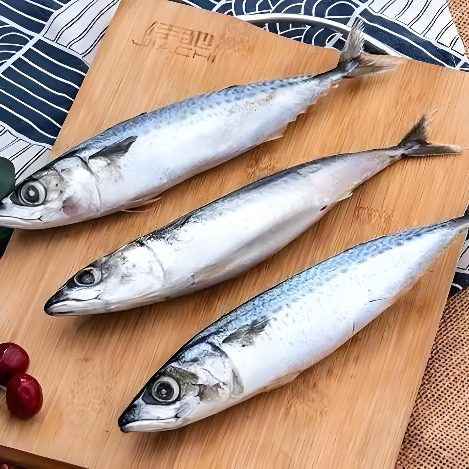 渤海湾深海鱼鲐鲅鱼/青占鱼/青花鱼/青鱼/易脱刺化冻介意勿拍