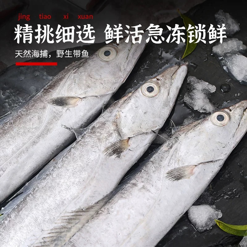 【特大号】舟山野生糙鳞带鱼 不切段整条发