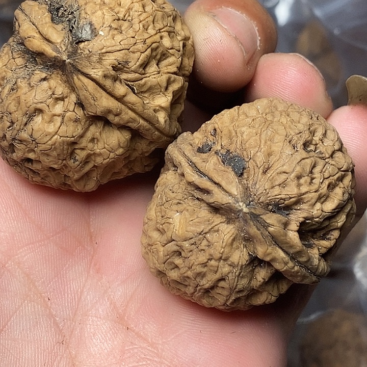把件文玩核桃志成云铁文玩59