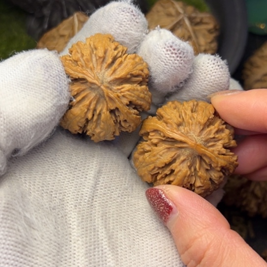 圆***:文玩核桃把件秦岭核桃8