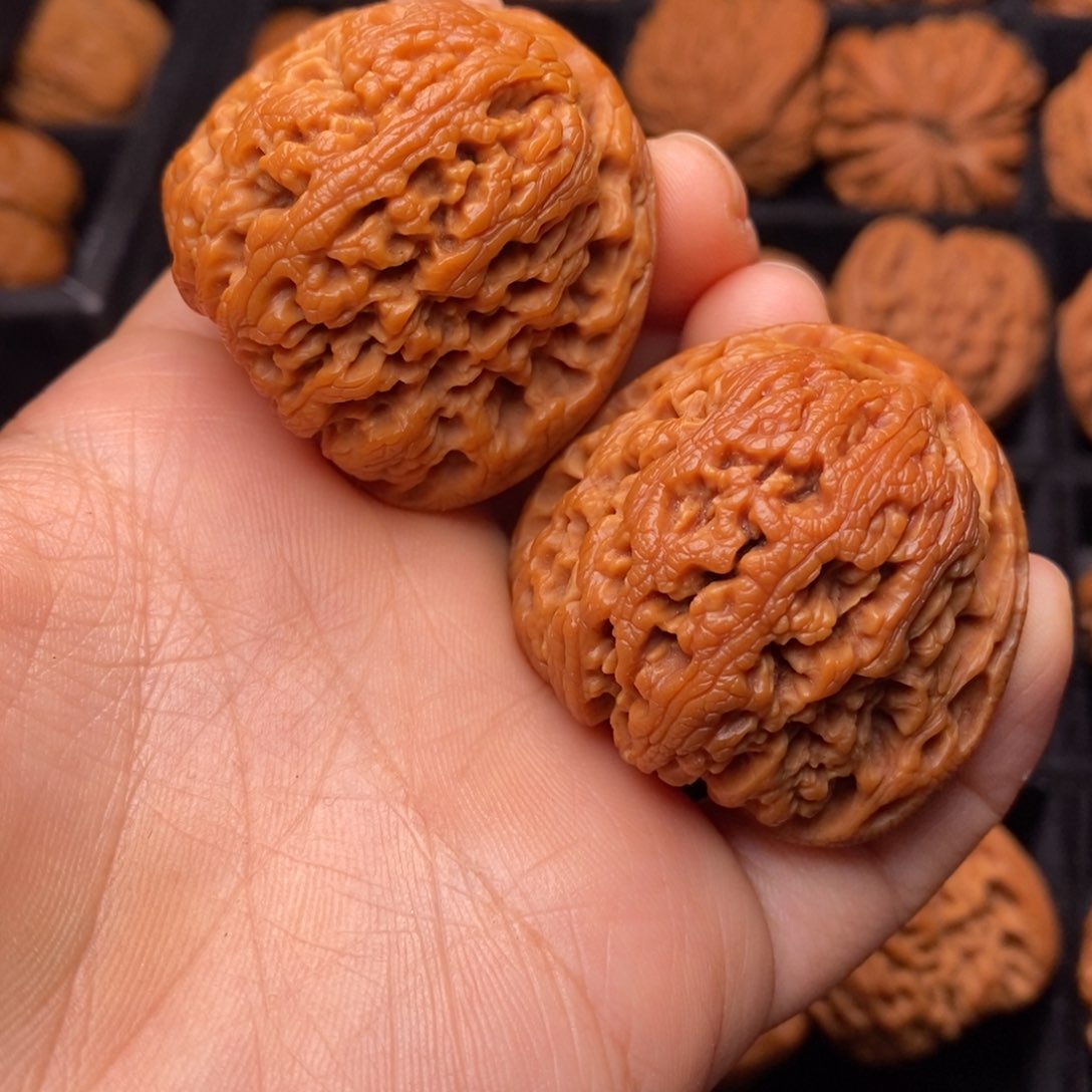 秦岭野生文玩核桃