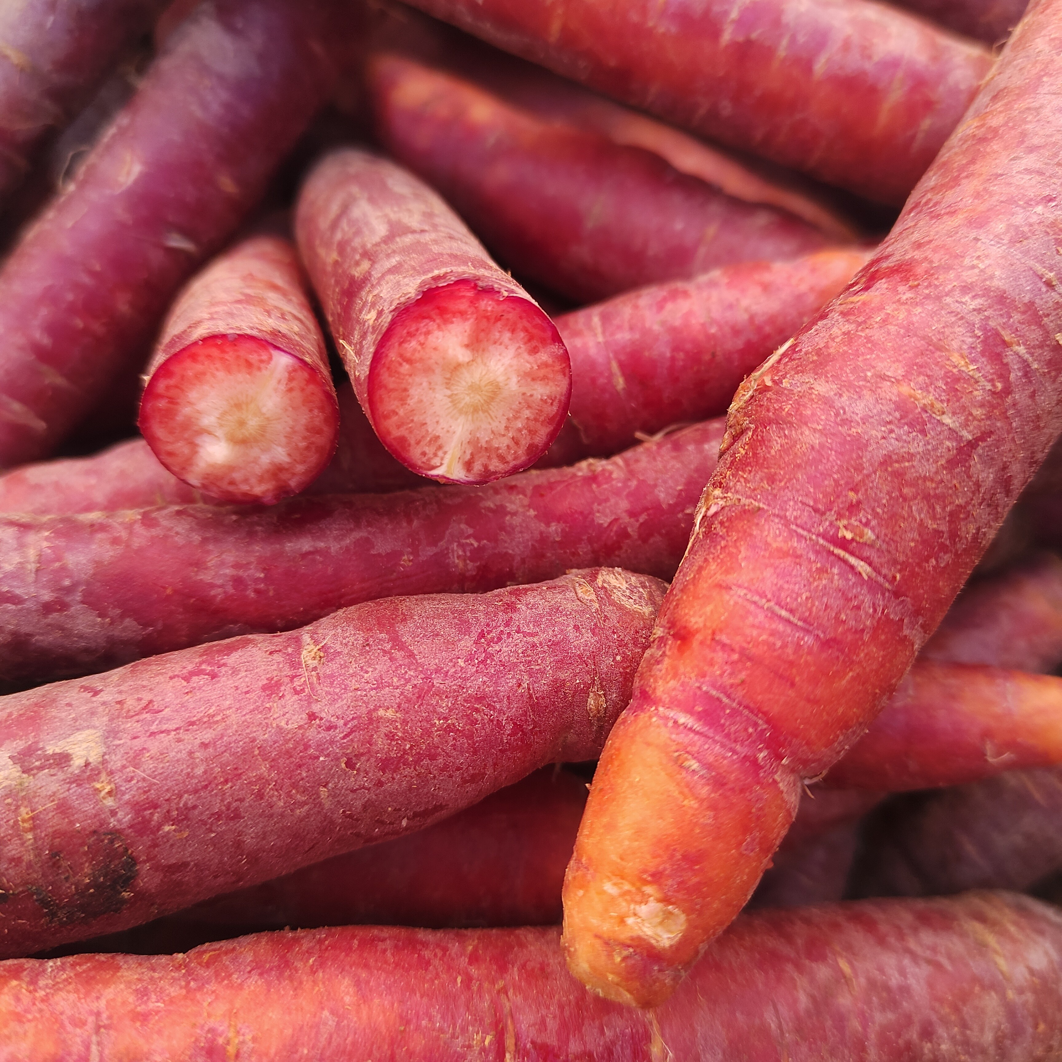 【村民代卖】大巴山农家土胡萝卜