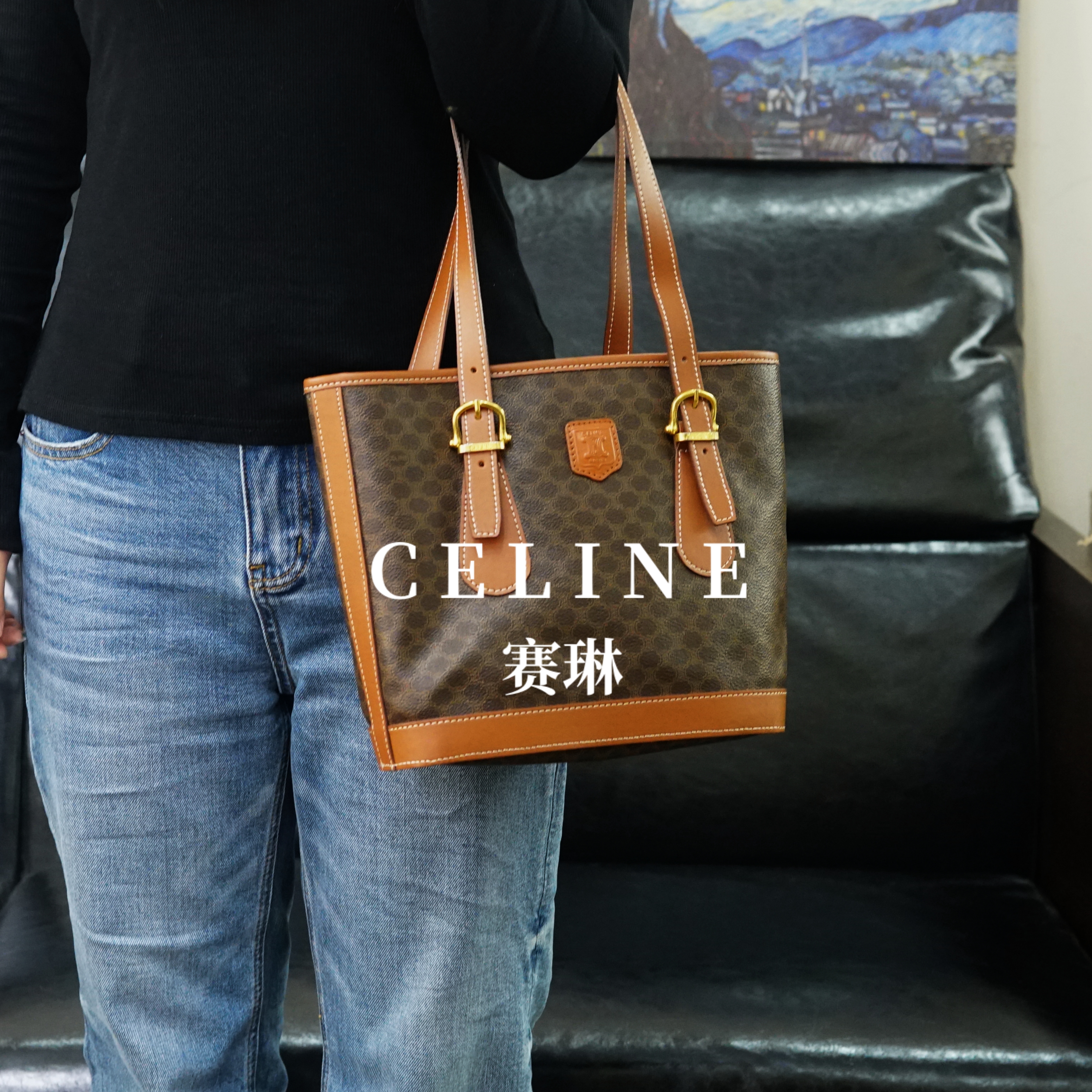 95新 Celine/思琳 老花单肩包/SC01617503/7503