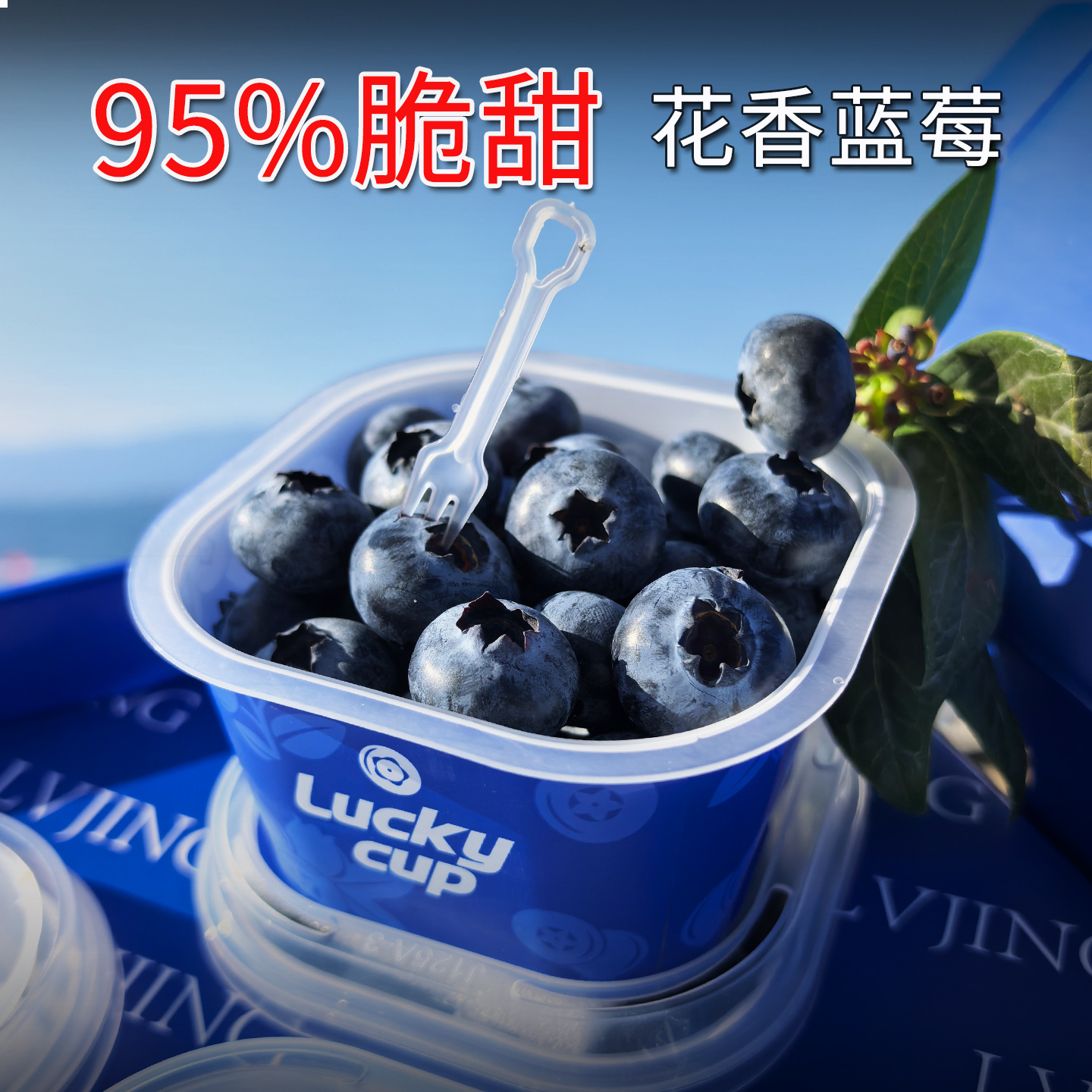 正宗云南抚仙湖25花香蓝莓鲜果蓝梅应季新鲜纯甜脆水果小杯装礼盒