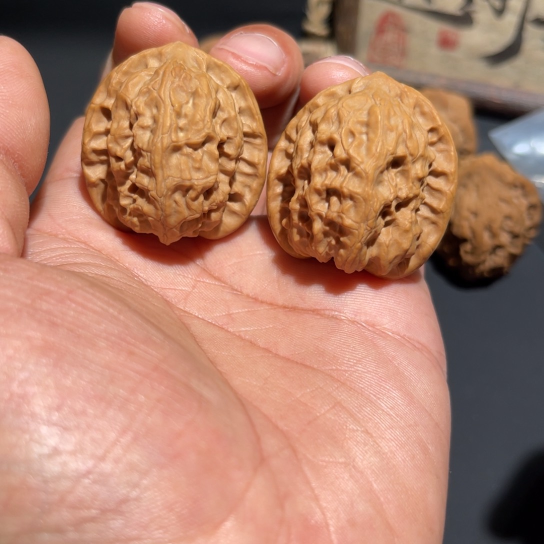 文玩核桃把件山地狼