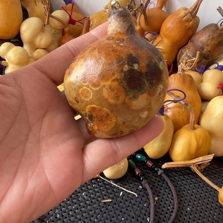 玩***玩葫芦葫哈哈哈哈哈哈宝贝