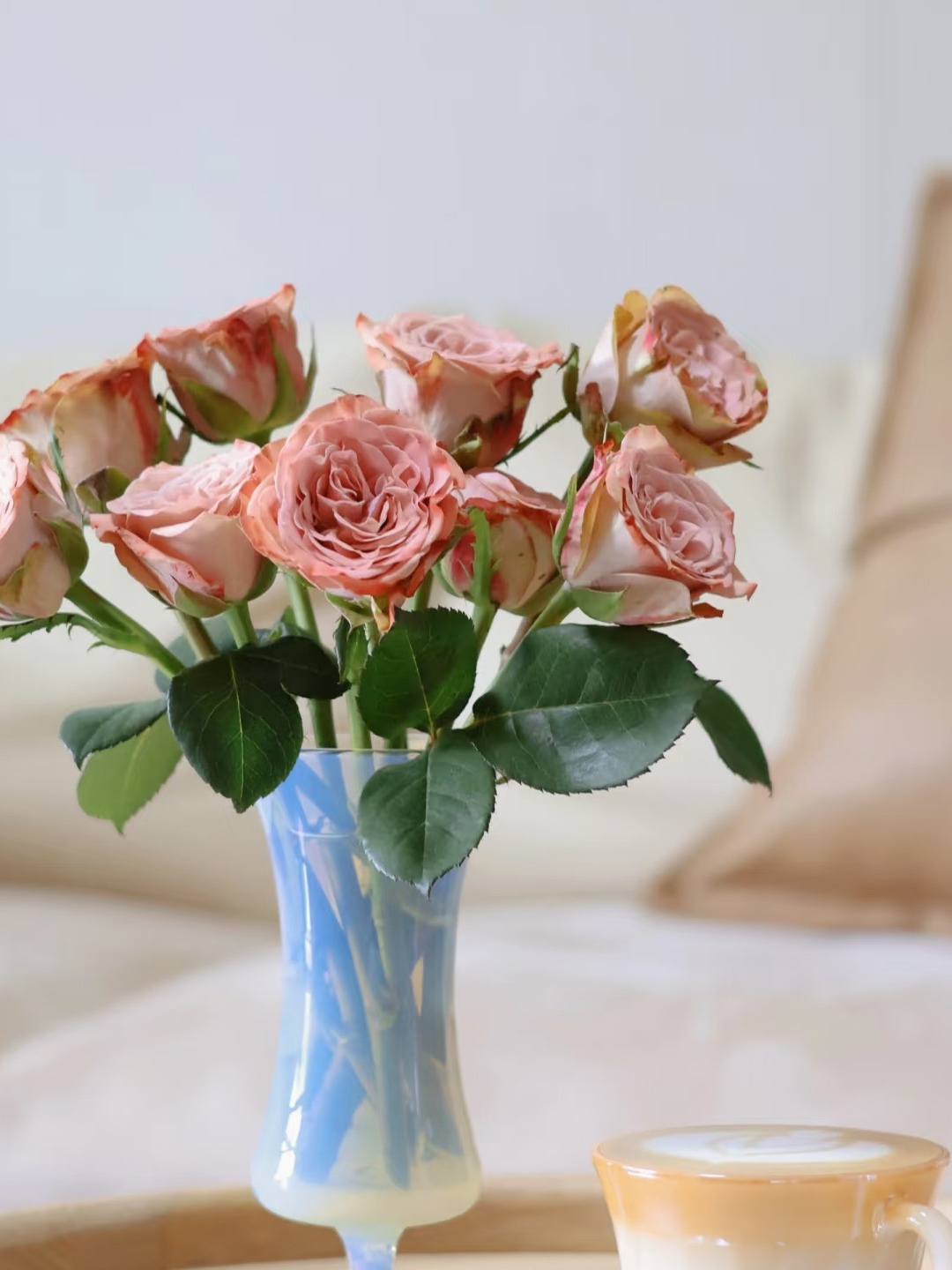 【卡布复古玫瑰】拍二单升级发顺丰/京东 家用鲜花直播间直播卖花