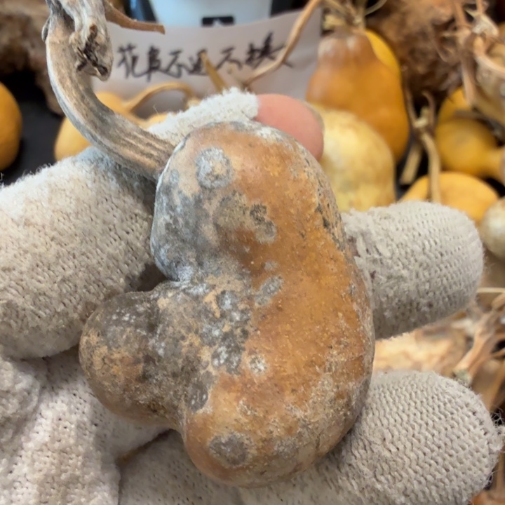 *****76666666667777777778888