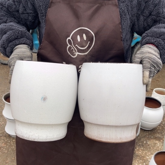 红陶口19高24瑕疵