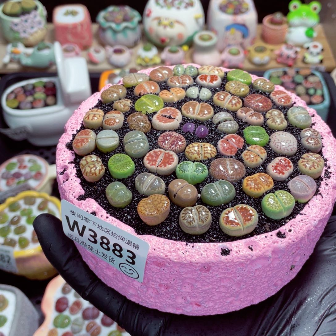 夜间零下地区拍保温箱w3883