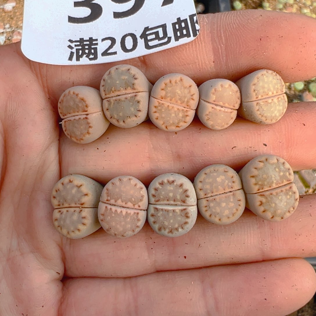 【闪购商品】397……