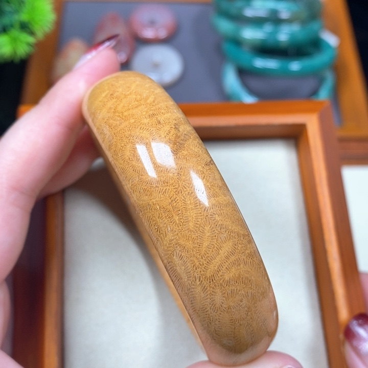 硅化珊瑚（珊瑚玉）手镯未镶嵌59.4