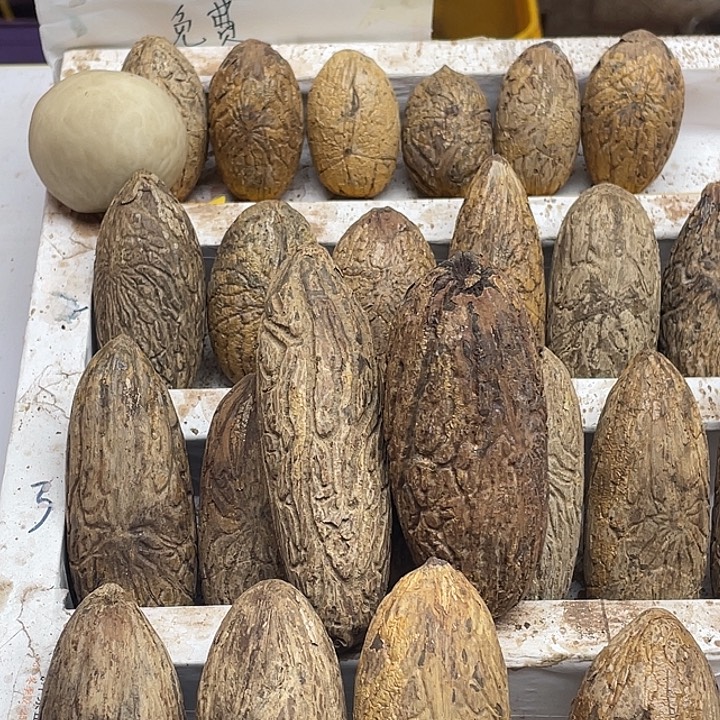 星***域菩提111111111111111111111111