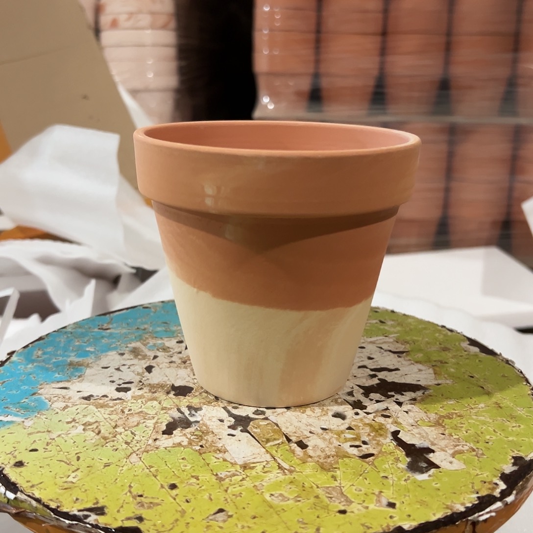 【闪购商品】红陶卡布奇诺13口12高1个巧克力