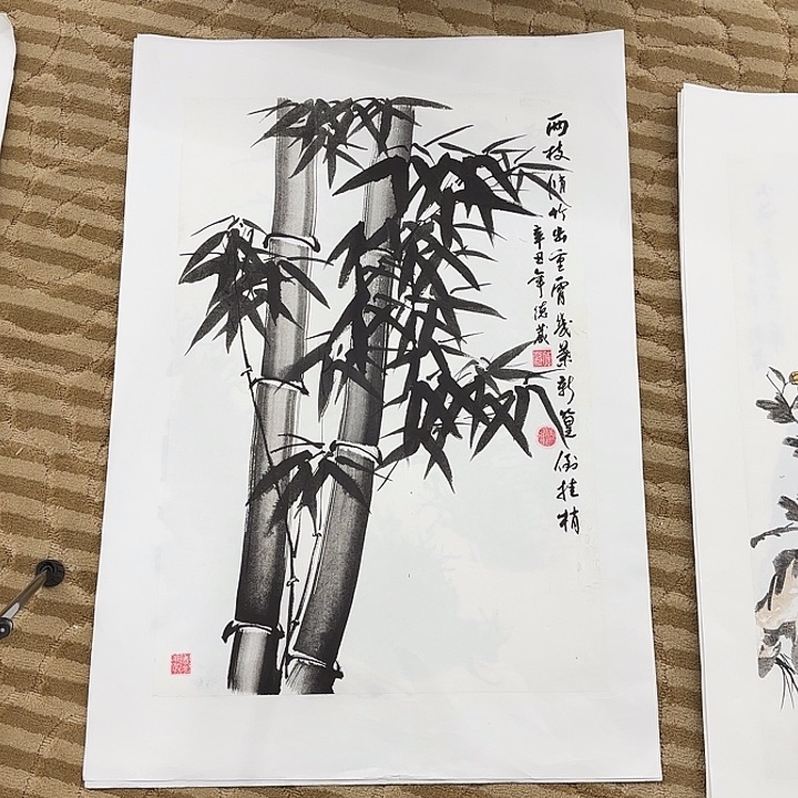 国画花鸟的翅膀是白色和70.45