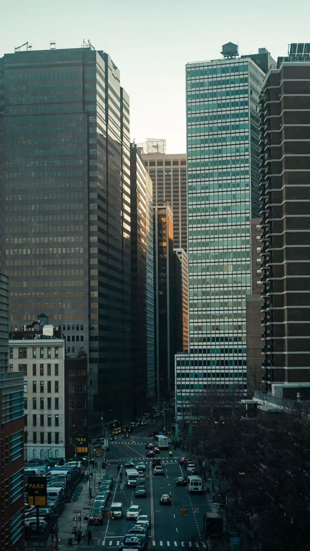 XL-V3-8858-设计师联名款POLO衫-6.22