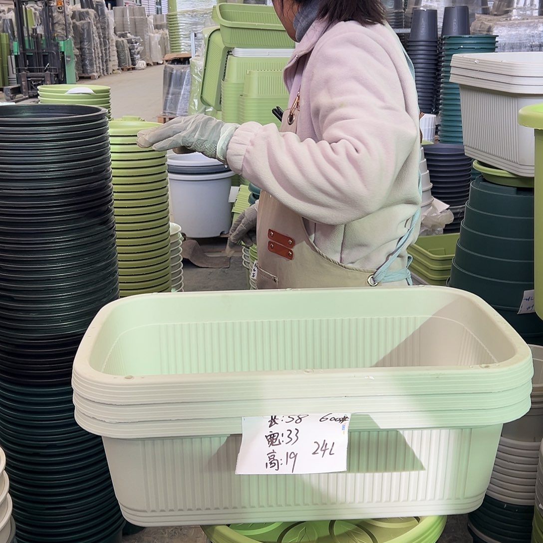 菜盆600#米白色3个（含托盘）
