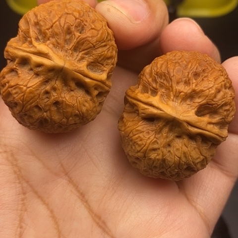 文玩核桃把件38尺云南核桃