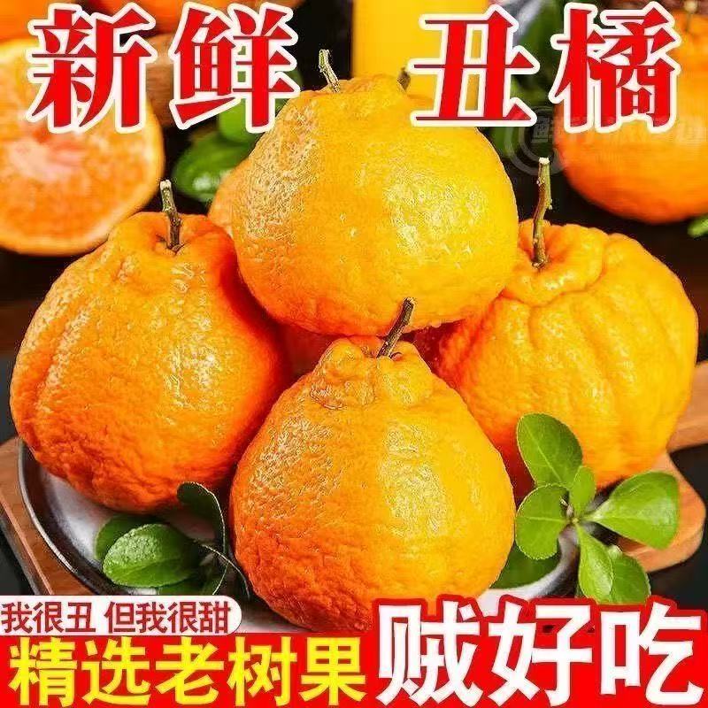【精品果】正宗四川不知火丑橘新鲜应季水果整箱包邮