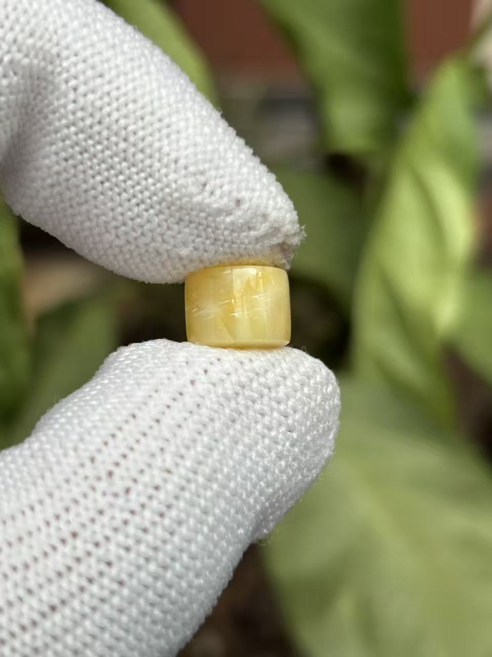 3143天然蜜蜡琥珀老型墩子9.2x7.1mm