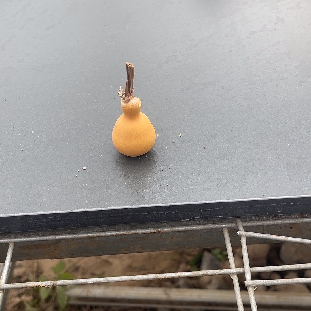 对****88888888888888888